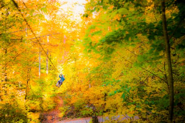 CampFortune's tweet photo. Zip through fall the colours are gorgeous in the #Gatineaupark http://t.co/tVKvNvUipX