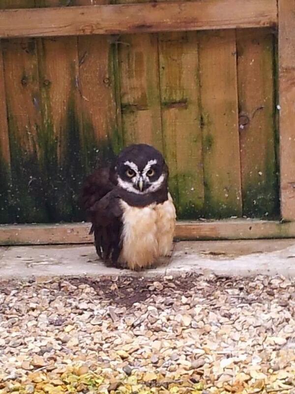 More animals we Met today