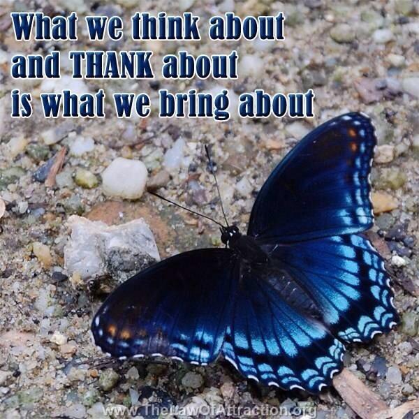 ActualALove's tweet photo. Always thankful 😊 http://t.co/NFdaSxchIp