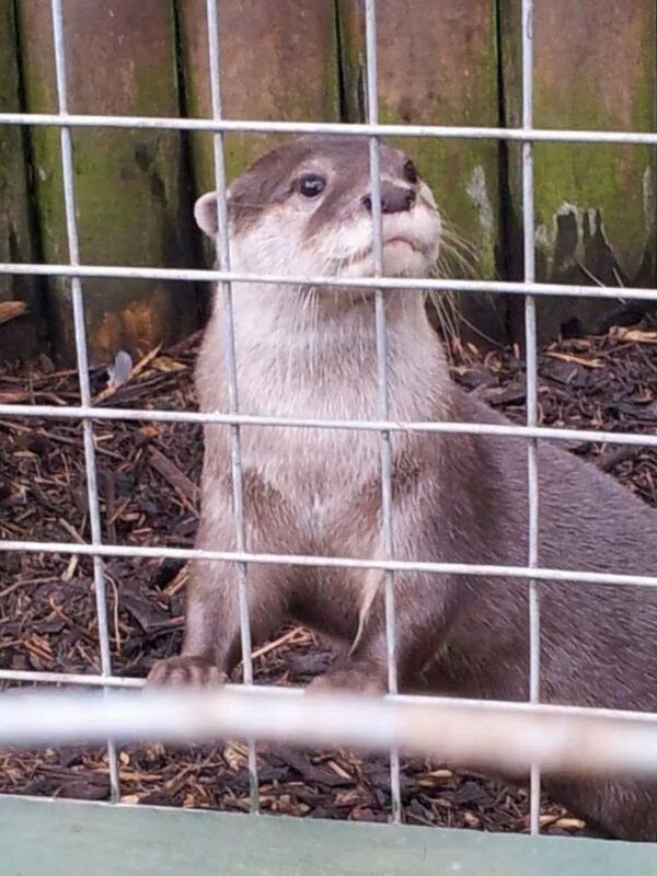 More animals we Met today