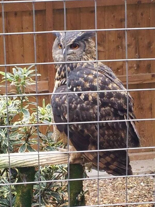 More animals we Met today