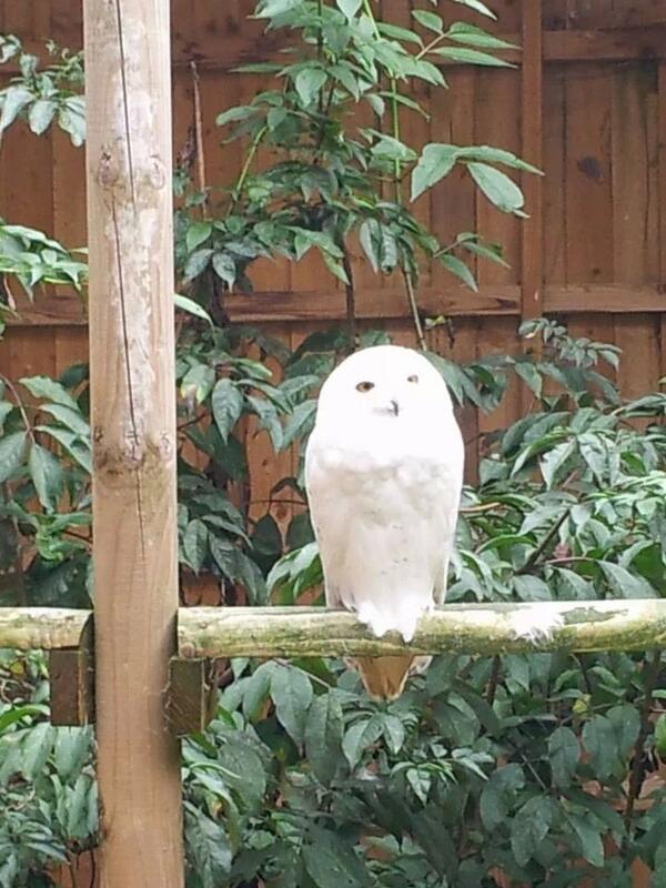 More animals we Met today