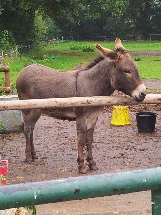 More animals we Met today