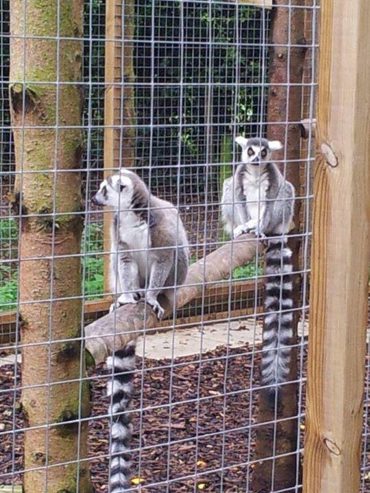 More animals we Met today