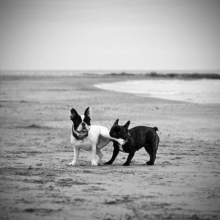 animalspic's tweet photo. http://t.co/oo12V0gnVS