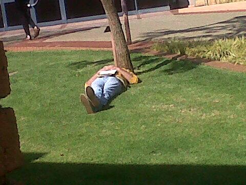luytdawg's tweet photo. My DFK lecturer just sleeping under a tree next to the og kiosk. He be living the #thuglife yo! @willieludik http://t.co/DOvbQ8nc9p