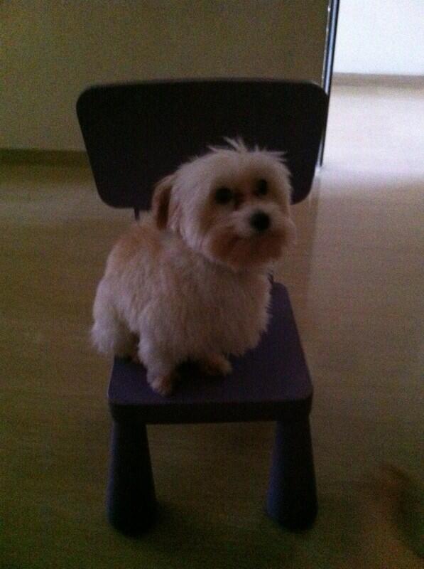 liuyishen's tweet photo. http://t.co/D0bels4BzC