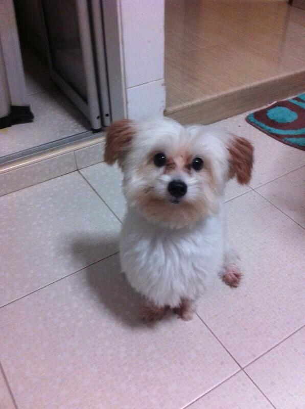 liuyishen's tweet photo. http://t.co/1ie6bWcz6a
