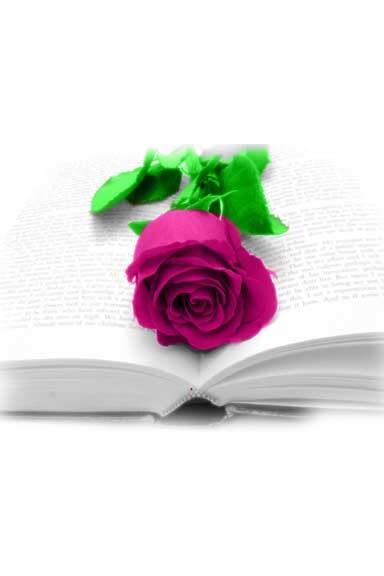 GloriaOwner's tweet photo. Check this out! http://t.co/fI6Du0fPu4 http://t.co/AfKIKTZMeR