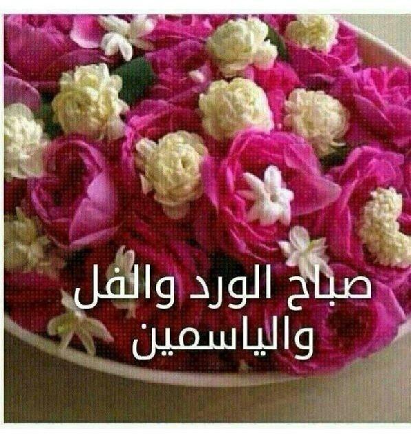 buauof's tweet photo. أصبحنا وأصبح الملك لله .. اللهم إني أسألك خير هذا اليوم وخير ما بعده وأعوذ بك من شر هذا اليوم وشر ما بعده.. http://t.co/dpNksEXcWf