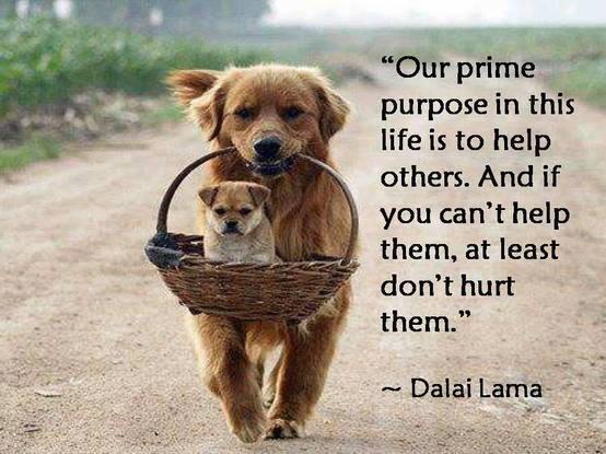 ren_alyn16's tweet photo. Prime purpose.. #life http://t.co/Ri4rZRzeQE