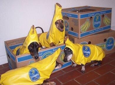 _hidog's tweet image. B1:นายคิดอย่างที่ชั้นคิดมั๊ยB2
B2:ชั้นก็คิดอย่างที่นายคิดB1
B1:นายคิดอะไรชั้นยังไม่ได้คิดอะไรเลย
B2:.........