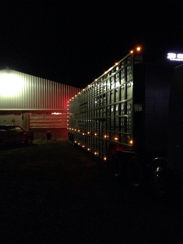 tjloger's tweet photo. Love loading piggies all morning @trentloger3 http://t.co/1XJh6y21o3