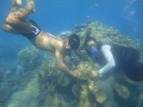 nineToursTravel's tweet photo. snorkeling siang2 di #karimunjawa http://t.co/ro84T339Ws