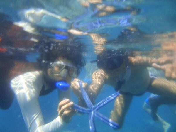 nineToursTravel's tweet photo. weeiihh dapet start fish di #karimunjawa http://t.co/3ZUI3nuI68