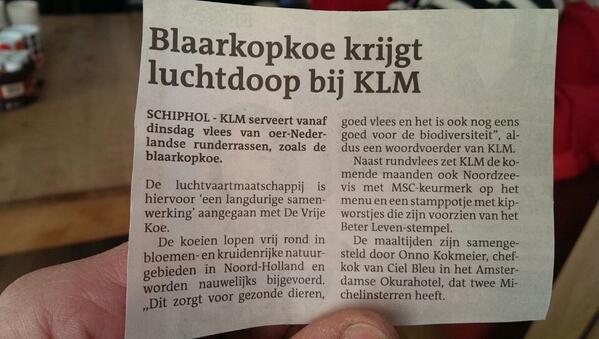 De blaarkopkoe gaat de lucht in.
