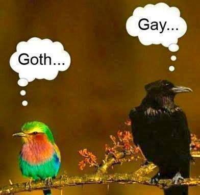 DutchLesbians's tweet photo. over gaydar gesproken.. XD http://t.co/38ha5N90VN