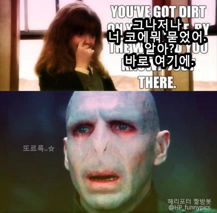 HP_funnypics's tweet photo. (번역) 볼디의 눈물 http://t.co/aphC4BAg3I