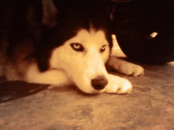 Balto_Havanne's tweet photo. Like :) http://t.co/siVmZcCXpv
