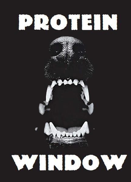 ChapelMuscle's tweet photo. You've got 30 min.... #Protein #Swoll #Pump #Recovey #CantWHEYt #MuscleChapel #Gains #2scoops http://t.co/z9hseVdcSJ