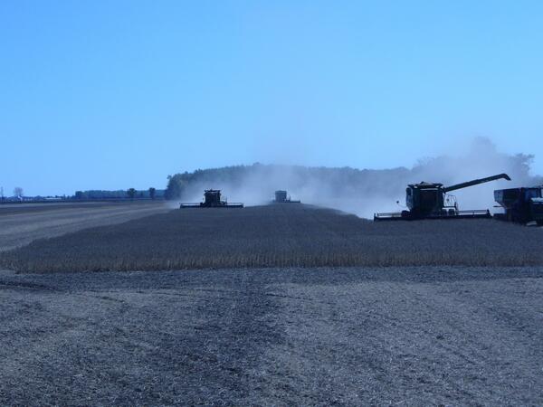 Kicking up some dust last night #harvest13. Taking off some 30-61RY <a href="/DEKALB_Canada/">DEKALB Canada</a> soybeans