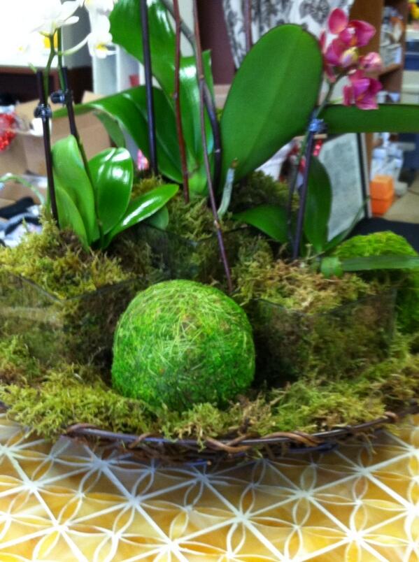 cfgardens's tweet photo. http://t.co/4qil3ObXtw