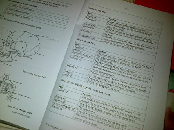 lauren_Fryx's tweet image. My thurs night is learning bones of the skeleton and the muscles :( #facialexam #nighttech #beauty #noteasy