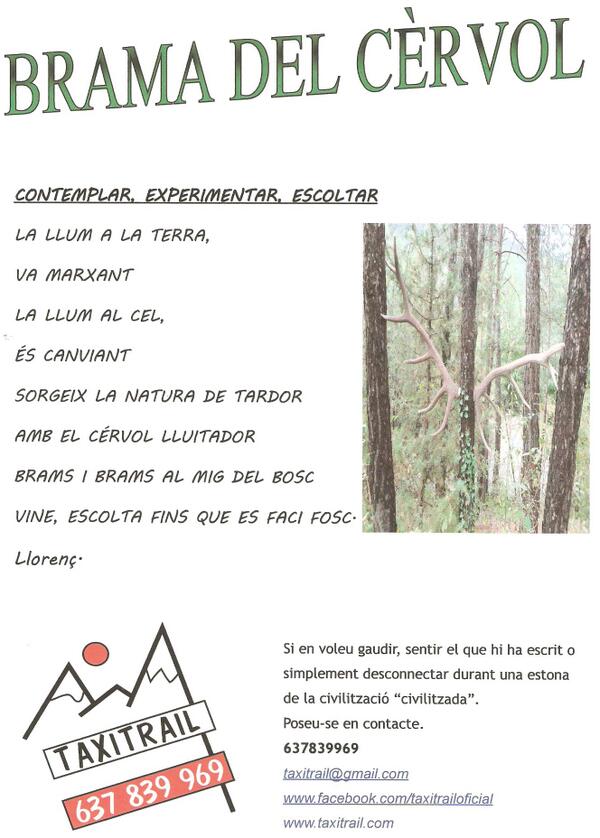 Taxitrail's tweet photo. És el temps de la #brama del cérvol. Val la pena. Us ho asseguro. http://t.co/ecBJuOVXgZ