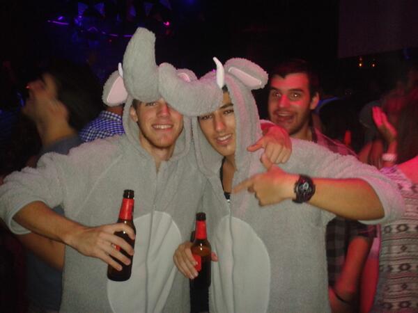 Los elefantes toman @ELEPHANTCLU13