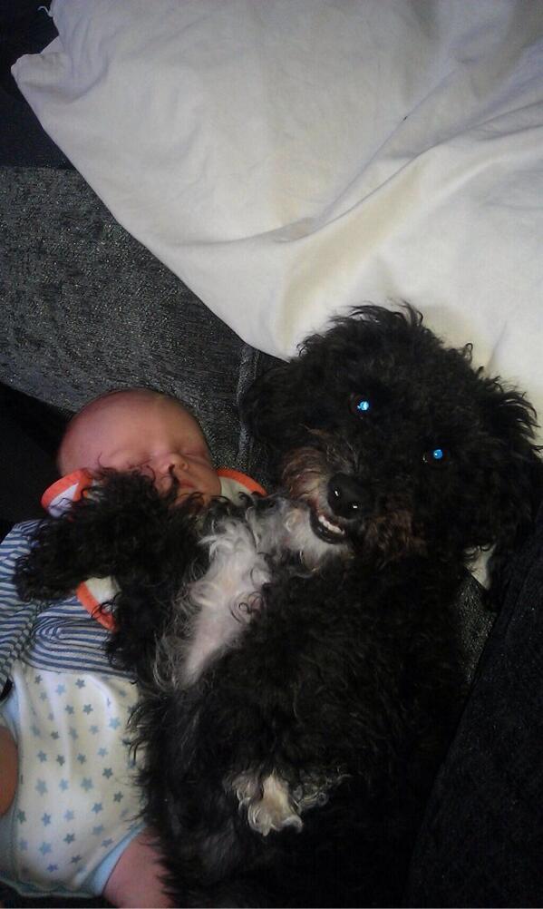 MomKnowsBest_'s tweet photo. Contestant #10 
@Jaxxy88 http://t.co/q34ohaeEdW