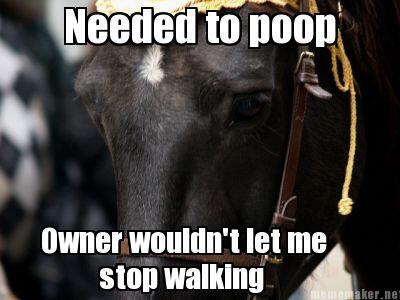MLMeadowsInt's tweet image. #FirstWorldProblems #FirstWorldHorseProblems #HorseProblems #FunnyHorse #horsememe