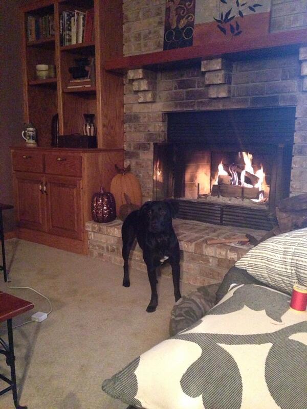 kalsorie's tweet photo. She loves fire http://t.co/UNzeZIifIw