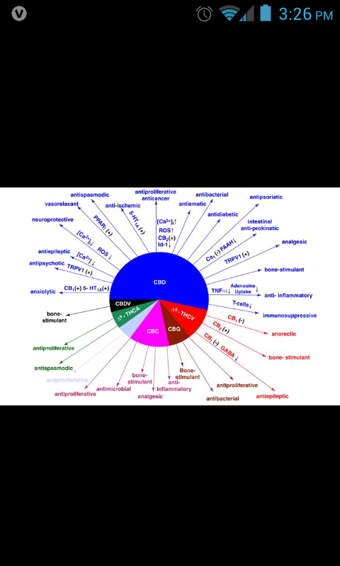 Botany420 tweet picture