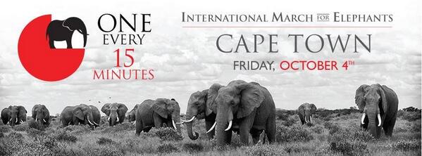 #CapeTown #CapeCare @CapeTown flying flag high for #SOUTHAFRICA #SocialSA #iworry #elephants @IworryTrade