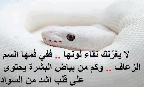 MM55M4 tweet picture