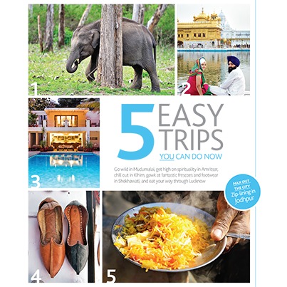 LPMagIn's tweet photo. Our #EasyTrips are more attractive than ever,with brighter photography .Most are seasonal & encourage you to GO NOW! http://t.co/QOGz8TlTGe