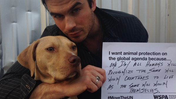 iansomerhalder's tweet photo. Let’s pls get animal protection on the global agenda!! #MovetheUN to recognize #WorldAnimalDay http://t.co/ewxaCA40M6 http://t.co/51GQf9VPGt