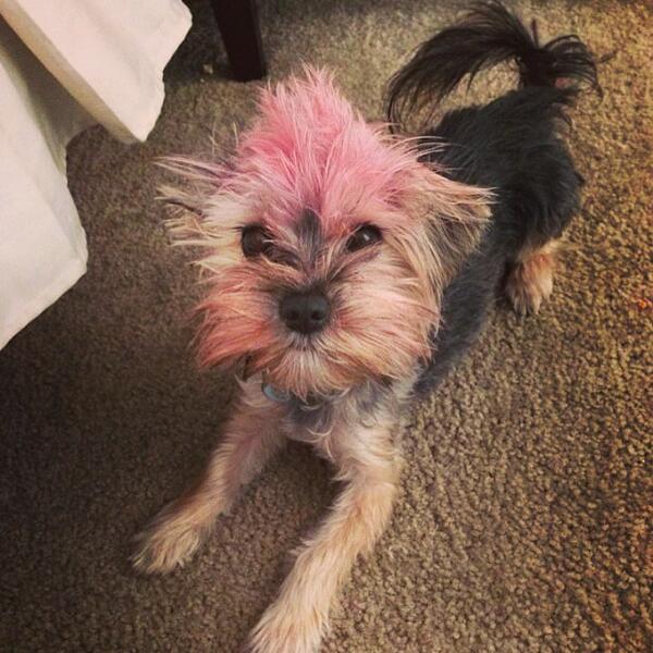 OfficialKaili's tweet photo. that face!! <3 http://t.co/sotObTe5av
