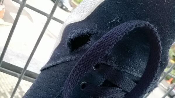 ptremmers's tweet photo. Can't find an email address to complain about @adidasuk. Trainers. Only 5 weeks old and look!!  Very poor http://t.co/I84Omqlbvz