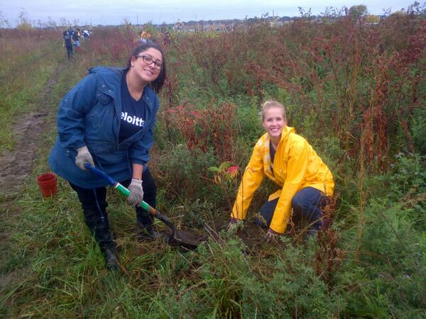 DeloitteCanada's tweet image. Nice work! RT @frwatershed: #ImpactDat #treeplanting is underway! Way to go @DeloitteCanada