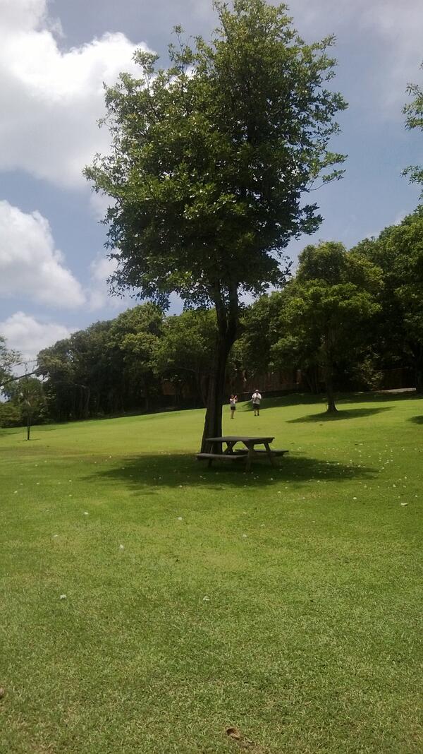 SLULandmark's tweet photo. ....Beautiful day @PigeonIslandNationalLandmark http://t.co/Llu9tplVvv