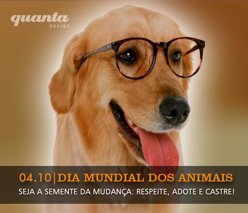 quantadesign's tweet image. 04|10, é uma data comemorativa reservada para os bichinhos!