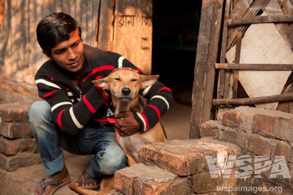 MoveTheWorld's tweet photo. Today is #WorldAnimalDay Please RT to help bring it onto the UN’s Global Agenda, Make YOUR voice count. #MovetheUN http://t.co/NSQJu6ui42