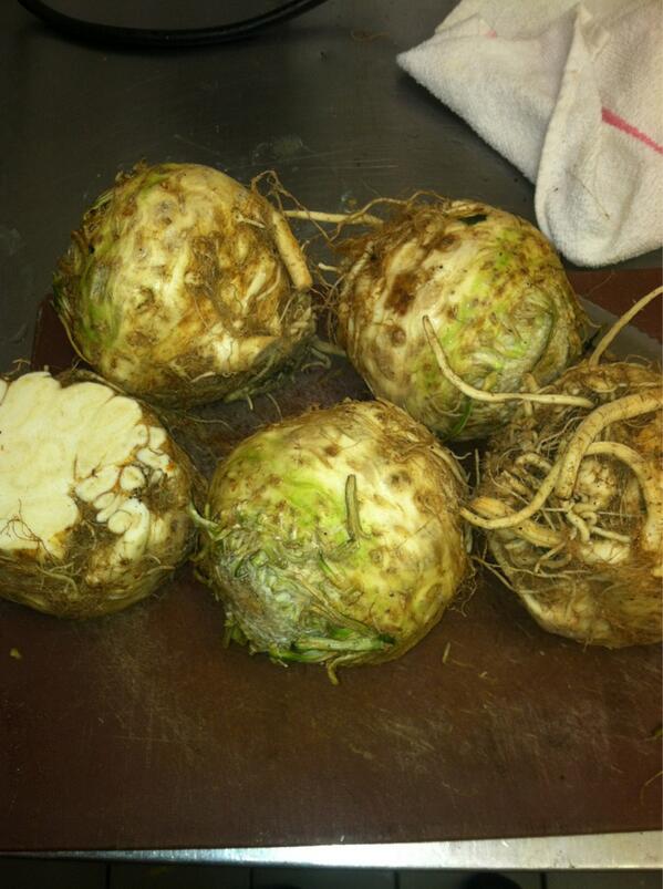 Huge celeriac came in today. Thinking about a riff on brandade with smoked Bronzino and celeriac purée for tonight.