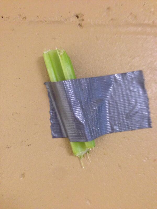 JMySon87's tweet image. Of course--why wouldn&apos;t you duck tape a piece of celery to the wall!? #BEHS #hsproblems