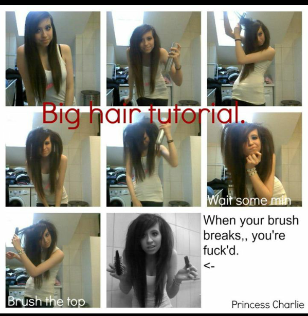 Antje4evaaa's tweet image. This is so awesome. #PrincessCharlie