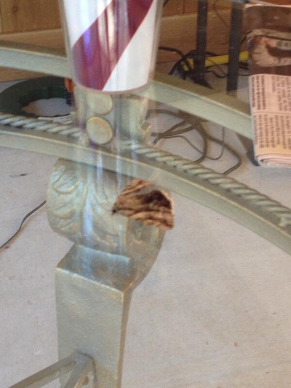 ARuckus4VT's tweet image. First glance I thought this was a piece of paper but just a big moth #bugcentral