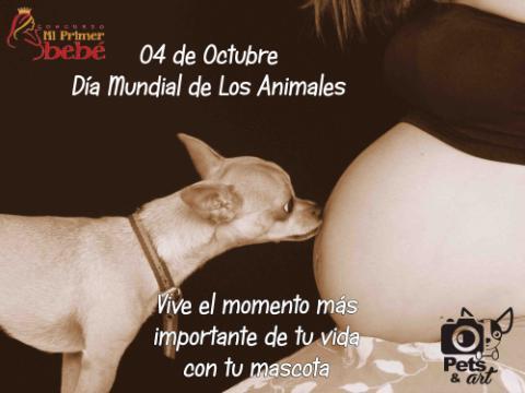 Guia_Mama's tweet photo. "@ConMiPrimerBebe: Les compartimos nuestra foto por el #DiaMundialDeLosAnimales @Guia_Mama @mamadigital http://t.co/alI1L9Me9j"