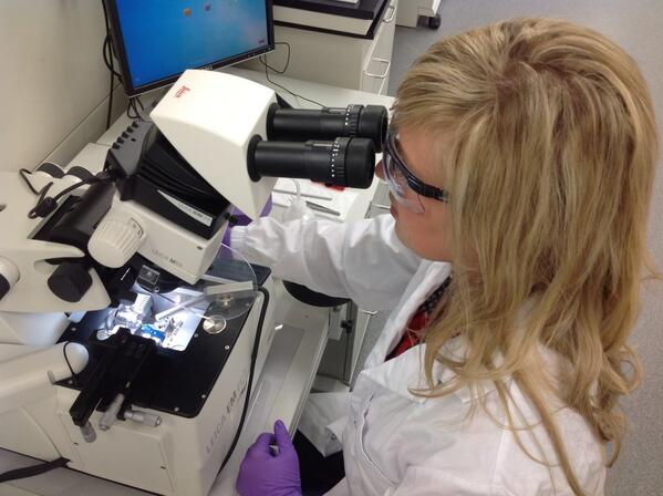 CLS_Rob's tweet image. RT @biogeomicroblog: @CanLightSource Erika cryo-sectioning #dinosaur skin for #synchrotron analysis