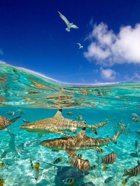 Megan♡' tweet media